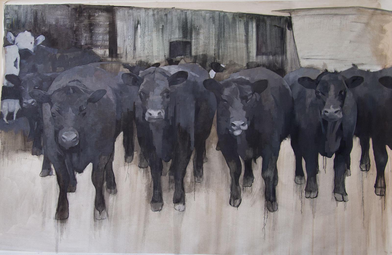 Black Cows by Jane Fisher